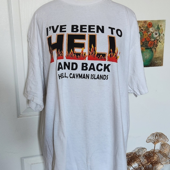 90s graphic hell and back 🔥 shirt - Picture 6 of 9